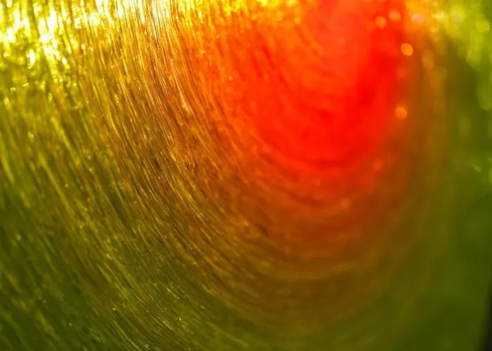 Lλ Dimөrλ Di Kλmλ' Apartamento Cesena